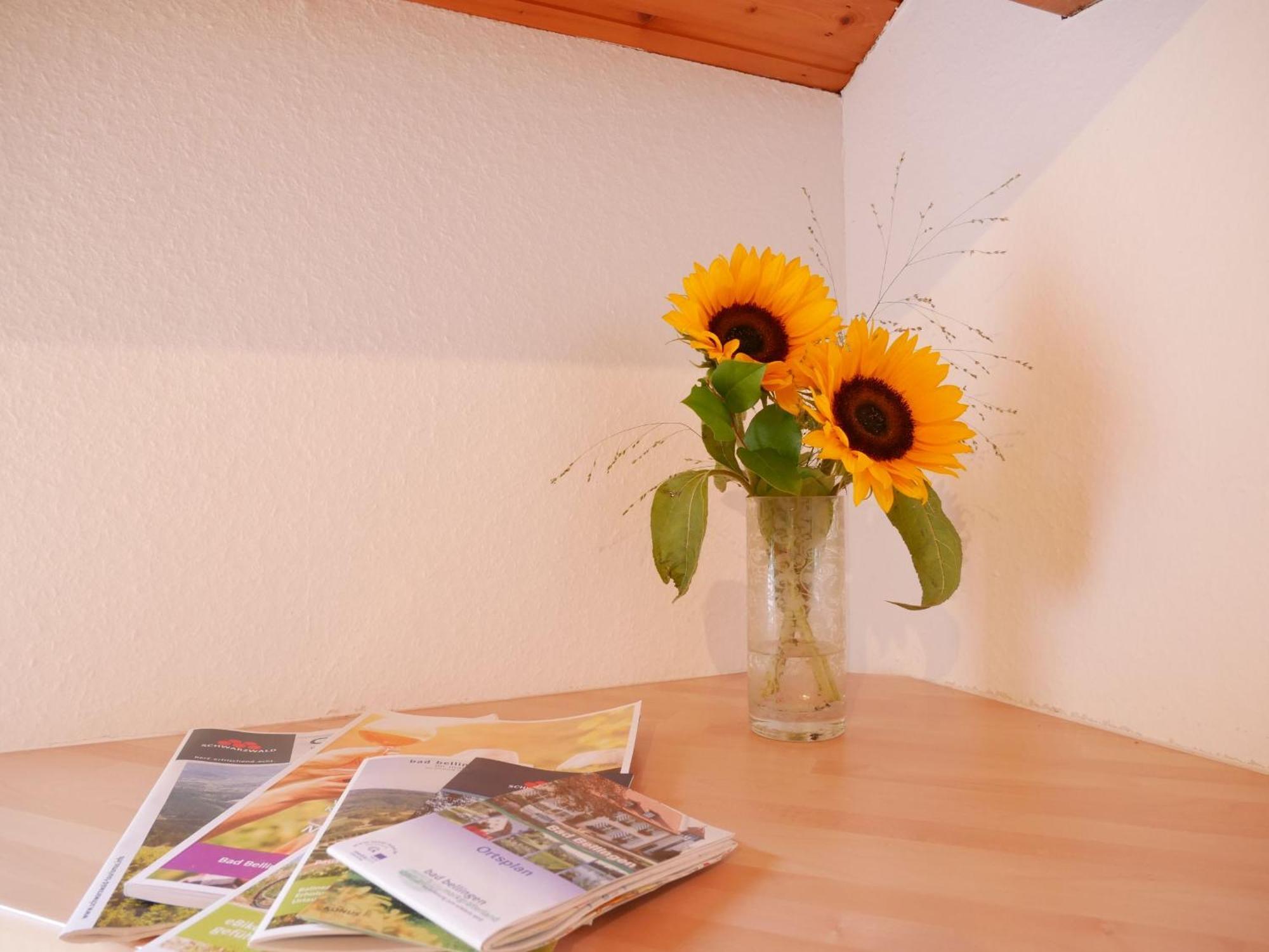 Gaestehaus Gaby บัดเบลลิงเงน ภายนอก รูปภาพ